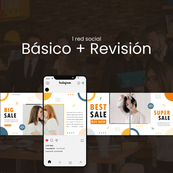 Plan Básico + Revisión